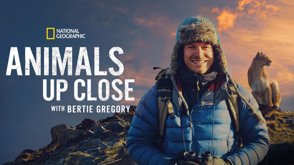 Disney + Nat Geo
